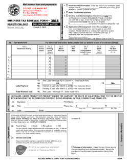 2009 BUSINESS TAX RENEWAL INSTRUCTIONS