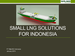 Shipping CEO - GoLNG INDONESIA