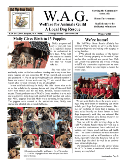 Newsletter - Welfare for Animals Guild...(WAG)