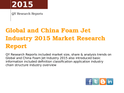 Global and China Foam Jet Industry 2015 Market