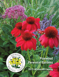 catalog without prices - Pinewood Perennial Gardens