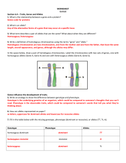 WORKSHEET 6.4-6.6 Section 6.4 – Traits, Genes and Alleles 1