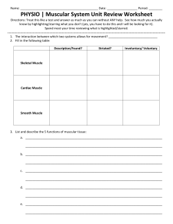 PHYSIO | Muscular System Unit Review Worksheet