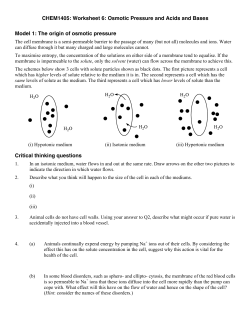 CHEM1405: Worksheet 6: Osmotic Pressure and Acids and Bases