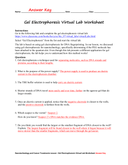 Gel Electrophoresis Virtual Lab Worksheet Answer Key