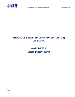 Worksheet III - Capital Improvements
