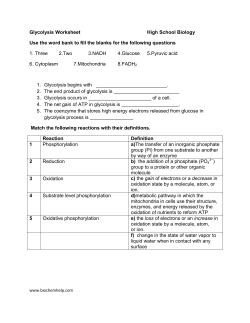 Glycolysis Worksheet High School Biology Use the
