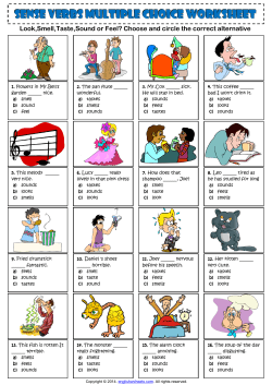 SENSE VERBS multIple choIce wORKSHEET