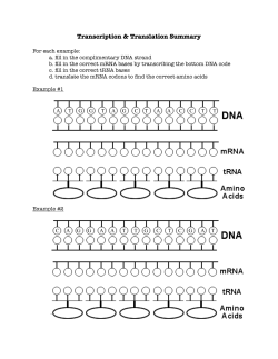 transcription translation practice worksheet