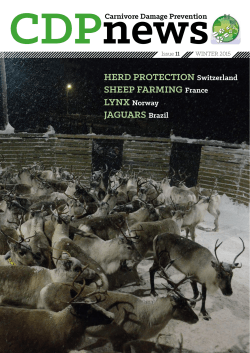 HERD PROTECTION Switzerland SHEEP FARMING France