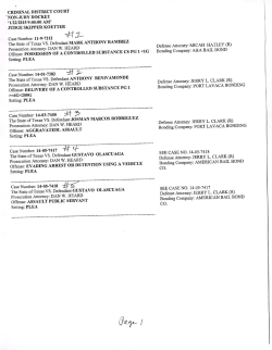 Criminal Docket