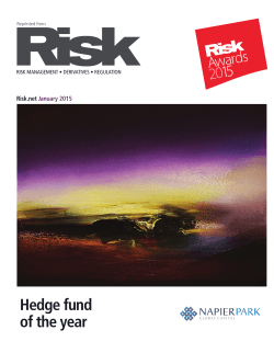 Napier Park Named 2015 Hedge Fund Manager of the Year by Risk