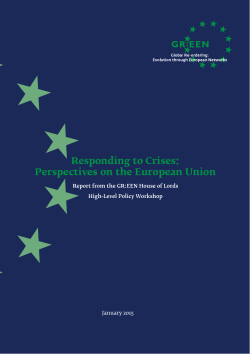 Responding to Crises: Perspectives on the European Union