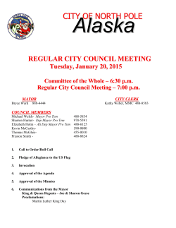 Council Packet 01-20-15