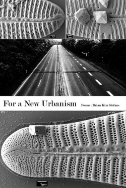 For a New Urbanism (download)