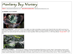 Monterey Bay Nursery availability