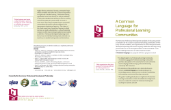 PD Common Language Document