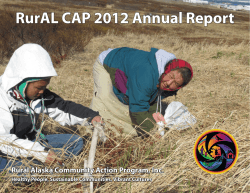 RurAL-CAP-Annual-Report-2012-1