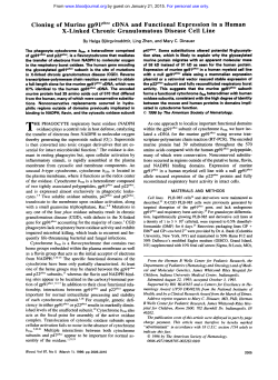 Cloning of Murine gp91ph”” cDNA and Functional