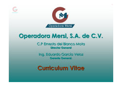 Curriculum Vitae Operadora Mersi, S.A. de C.V.