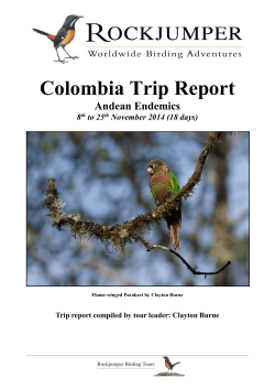 Colombia Comprehensive: Andean Endemics Nov 2014