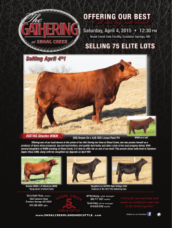 At our big sale event! - Shoal Creek Land and Cattle