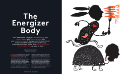 The Energizer Body