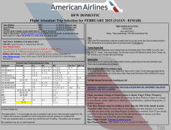 DFW DOMESTIC Flight Attendant Trip Selection for