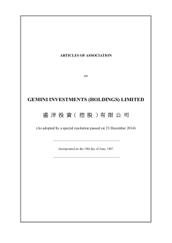 GEMINI INVESTMENTS (HOLDINGS) LIMITED 盛 洋 投 資（ 控 股 ）有