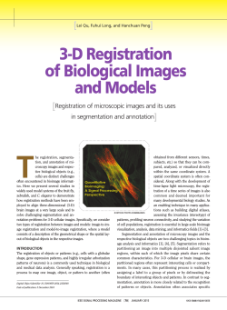 3-D Registration of Biological Images and Models