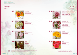 Class A - Flowers