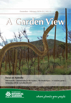 A Garden View Focus on Australia - The Jerusalem Botanical Gardens