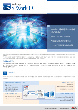 S-Work DI는