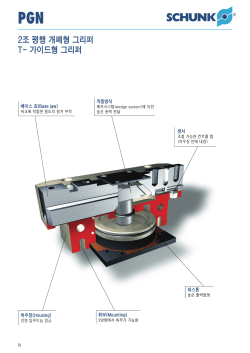 PGN (T-가이드형 그리퍼)