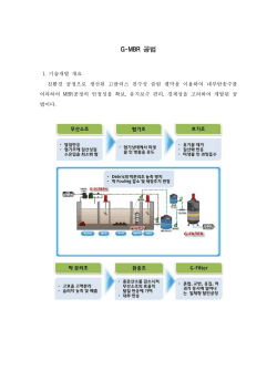 G-MBR 공법