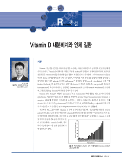 Vitamin D 내분비계와인체질환