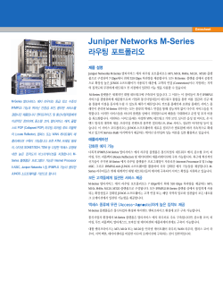 Juniper Networks M