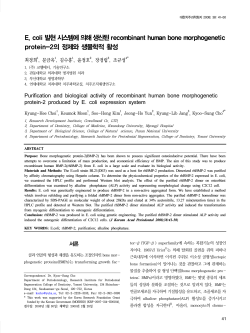 E. coli 발현 시스템에 의해 생산된 recombinant human bone