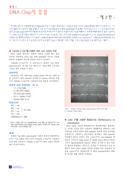 TaKaRa Z-TaqTM을 이용한 DNA chip 시료의 조제