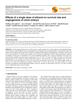 Effects of a single dose of ethanol on survival rate and angiogenesis