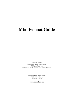 Mini Format Guide - ATA Travel Consortium