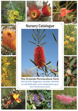 Nursery Catalogue 2015