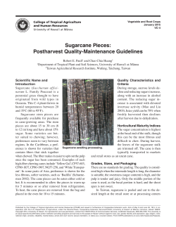 Sugarcane Pieces: Postharvest Quality