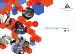 HSA Programme of Work 2015 - Health and Safety Authority