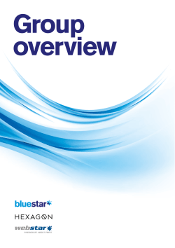 Group Overview PDF - Blue Star Group | Portal Login