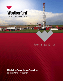 Wellsite Geoscience Services