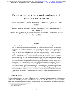 More than meets the eye: diversity and geographic patterns in sea