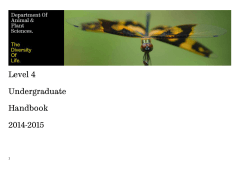 Level 4 Undergraduate Handbook 2014-2015