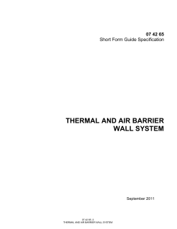 Thermal and Air Barrier Wall System