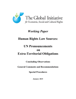 Working Paper Human Rights Law Sources: UN Pronouncements